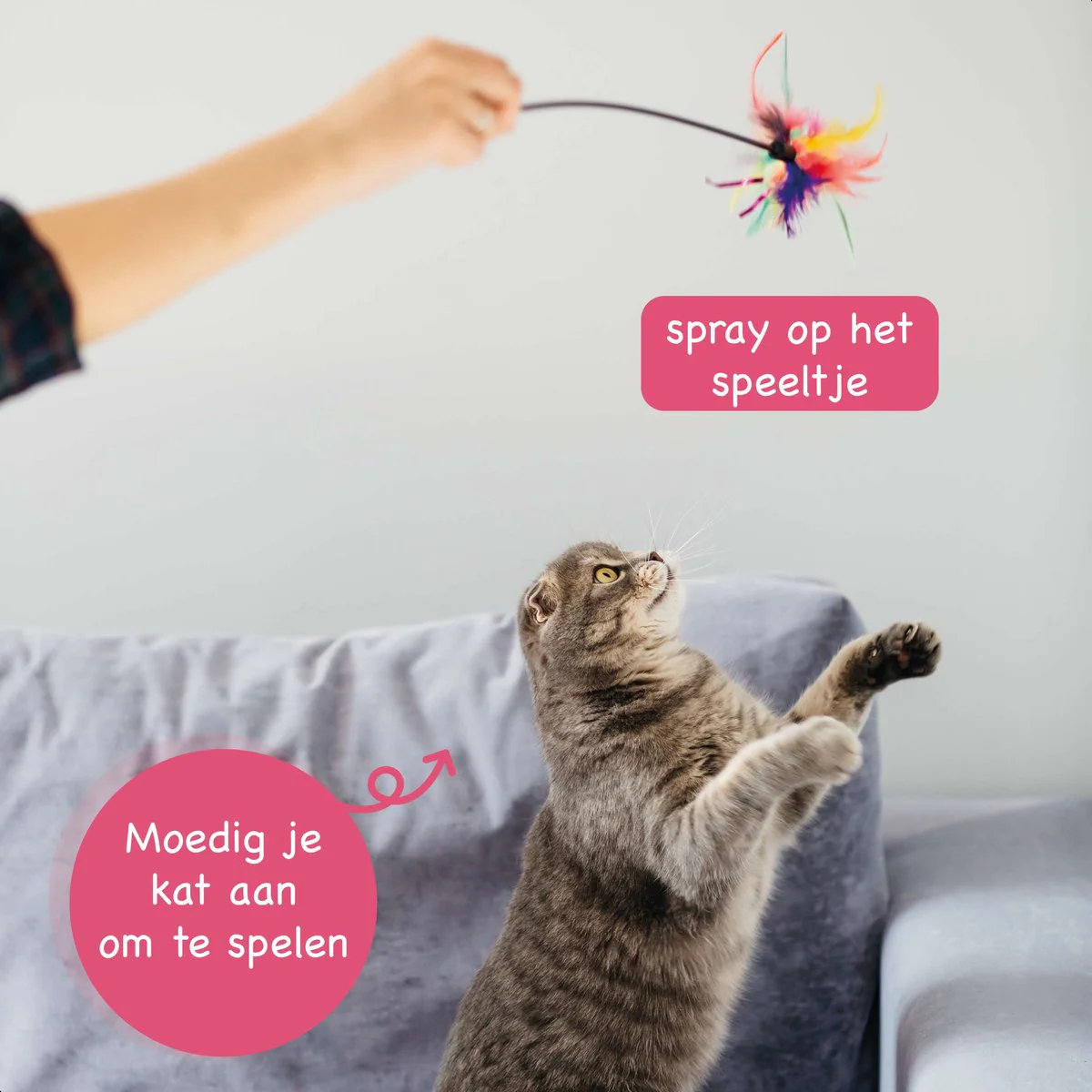 Catnip Spray - 100% natuurlijk - Kattenkruid spray - Catnip speelgoed - Valeriaan - Kat - Katten - Afbeelding 5